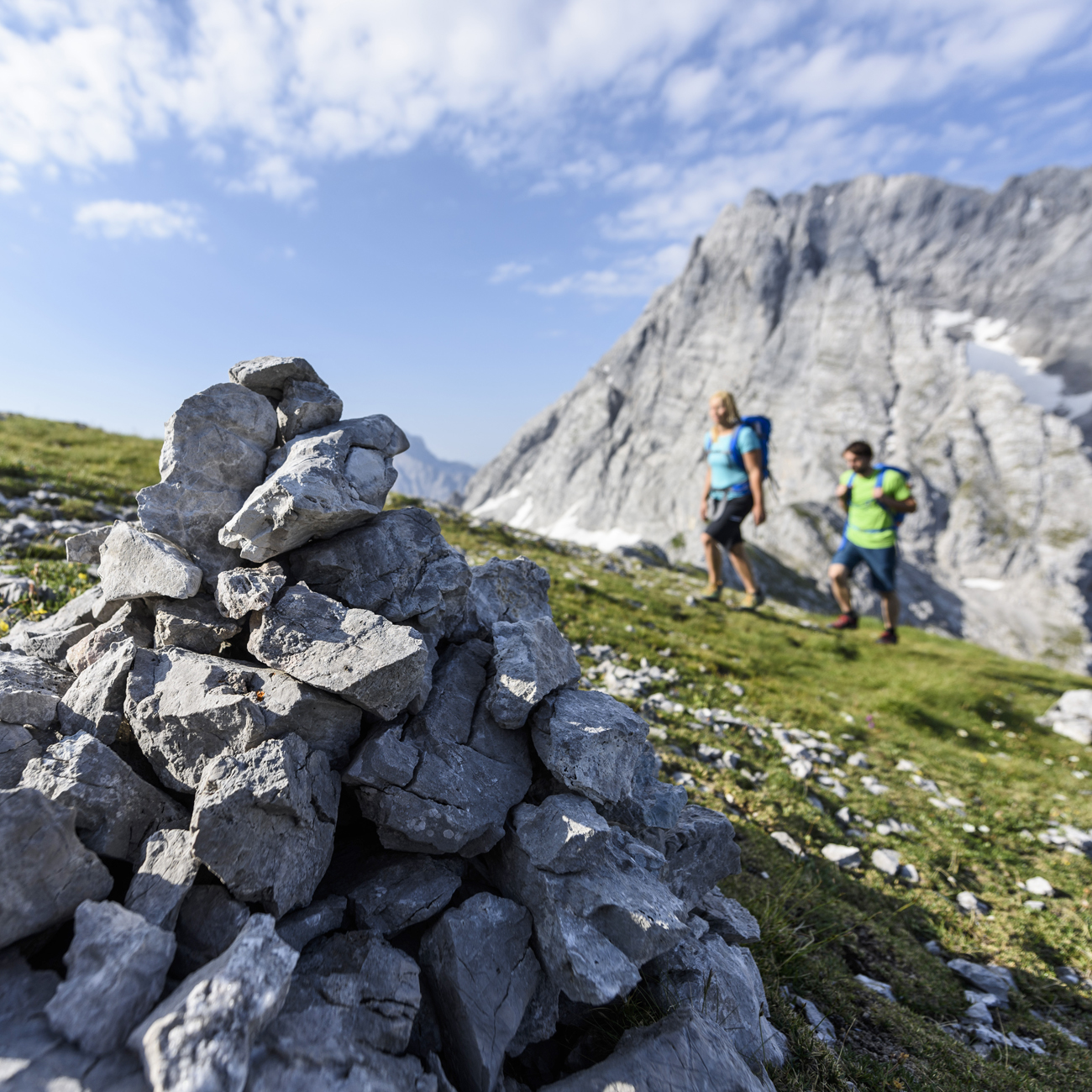 Umweltbildung, Führen im alpinen Gelände