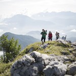Alpine Lebensräume auf Tour erleben