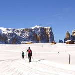 Faszination Langlauf - klassisch